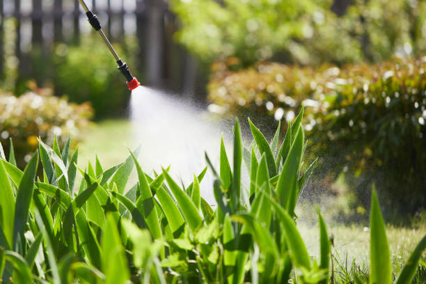 Tamper-Resistant Bait Stations for Rodents in Yountville