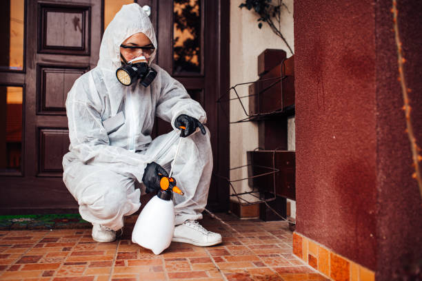 Attic and Crawl Space Rodent Treatment in Yountville