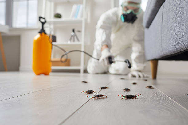 Commercial Rodent Management in Yountville